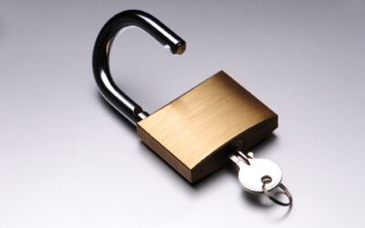 Assurance box de stockage : laquelle choisir et à quel prix ?