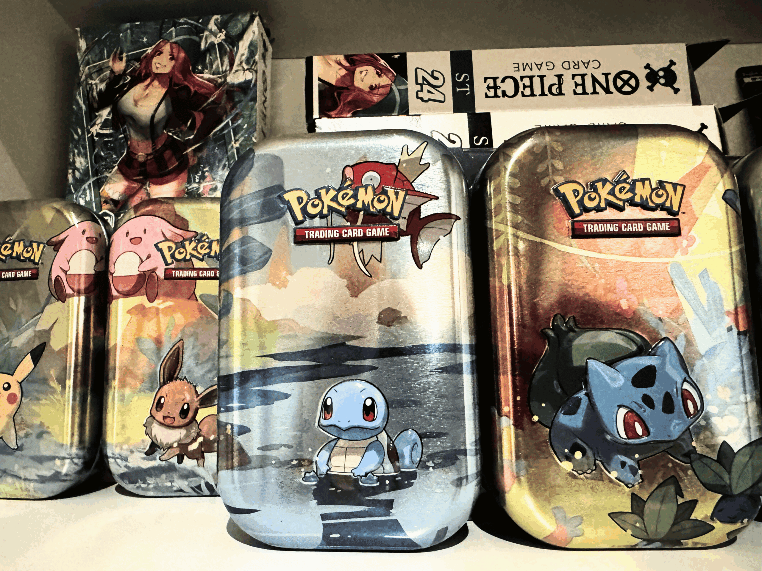 Displays scellés et cartes gradées, pourquoi choisir un box sécurisé plutôt que le stockage à domicile