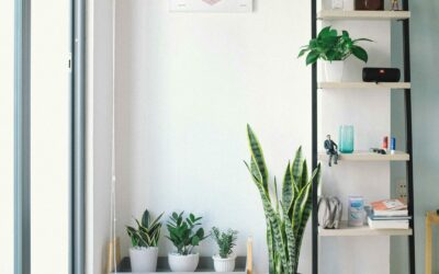 Votre intérieur est-il propice au bien-être ? La checklist pour faire le point